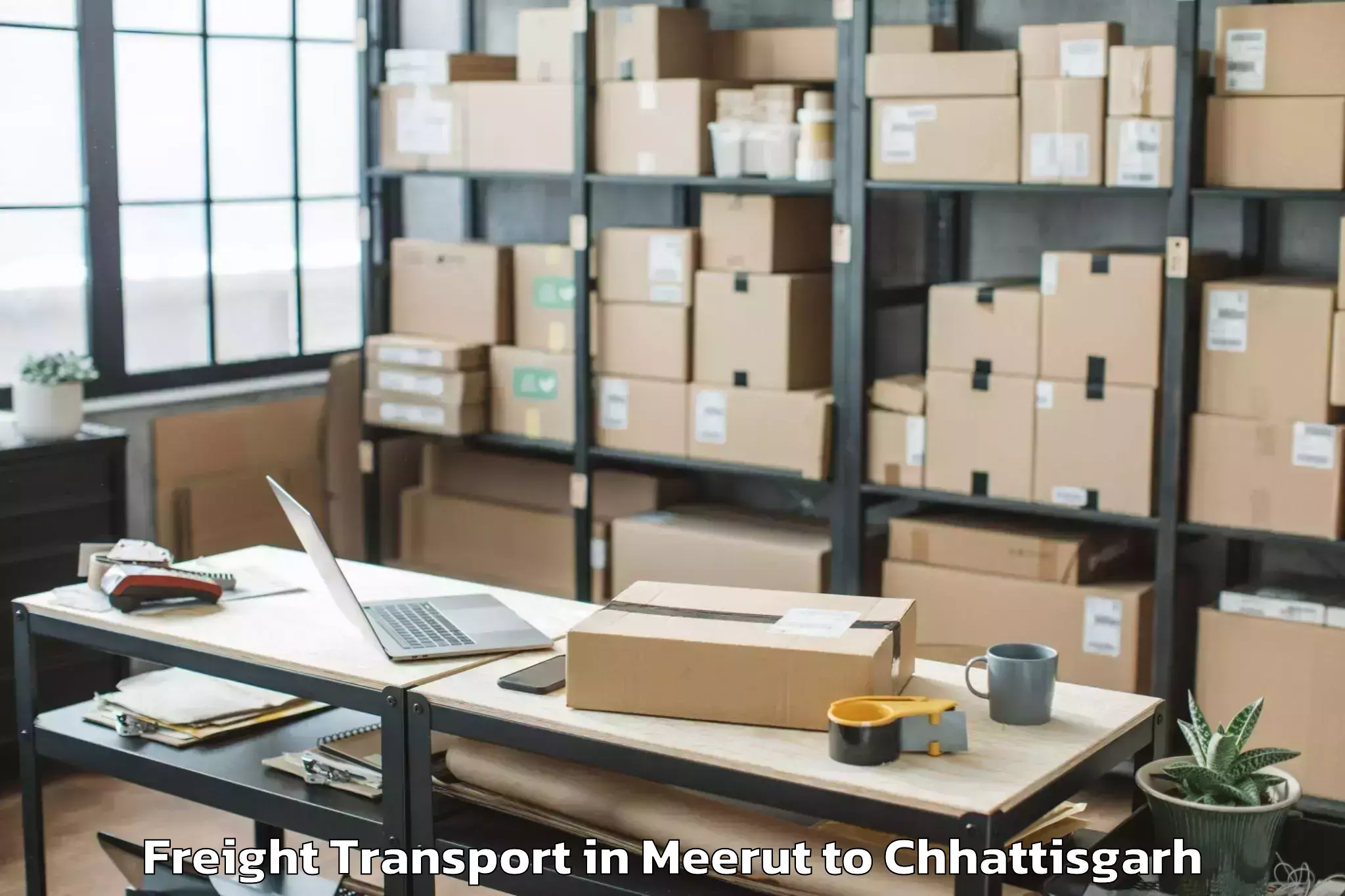 Book Meerut to Gharghoda Freight Transport Online